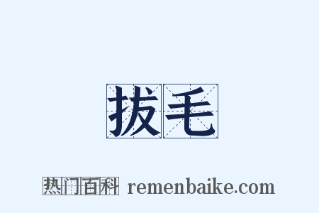 拔毛是什么意思的图片